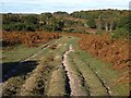 Path to Ridley Bottom