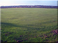 Playing field near Abbeyfield School