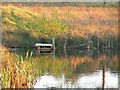 The lake on an October evening