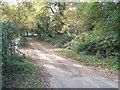 Autumn on the footpath from King Edward