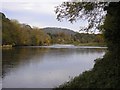 The River Tweed at Abbotsford