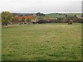 Grassland, Clackmannan