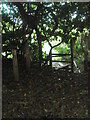 Sunlit stile on the path from Church Lane to the A283