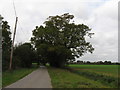 Metalled road and bridleway from Balls Cross