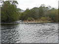 River Tay divides to flow round island