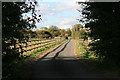 Driveway to Bazeland Farm