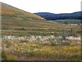 Mouth of Glendearg