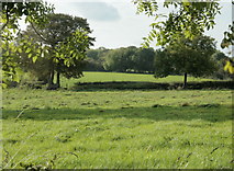 ST6350 : 2009 : Pasture near Three Tuns Farm by Maurice Pullin