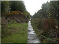 Kersal, towpath