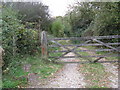 Bridleway to Brownings Copse