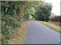 View south along narrow lane to Strood Green