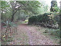 Bridleway to Crimbourne Lane