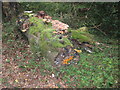 Fungi tree beside Crimbourne Lane