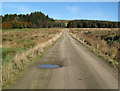 A  farm road at Westwater