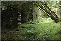 SH8313 : Ruins in Blaen y Cwm Coed by Philip Halling