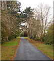 Private driveway to Greenhill Farm near Bishops Itchington