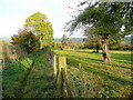 Footpath by an old orchard