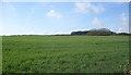 SS8478 : Farmland to the west of Tythegston by eswales