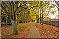 Autumn leaves - RAF College, Cranwell