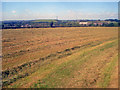 Late hay field near Colliers Wood - 2