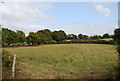 Field south of Chafford Lane