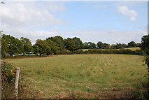 TQ5139 : Field south of Chafford Lane by N Chadwick