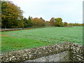 Arable land west of Hailes church