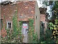 Ruinous cottage near Blackdowns