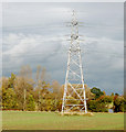 Electricity pylon at Ufton Fields