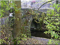 SD9625 : Canal Bridge at Burnt Acres, Calderdale, West Yorkshire by Robert Wade