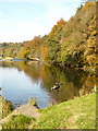 River Clyde With Autumn Colours