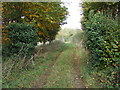 SP0008 : Old driveway to Moor Wood Farm by norman hyett