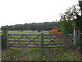 Gate into a cattle pasture north of The Thicks