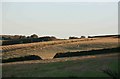 Arable fields awaiting the plough