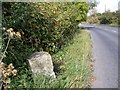 Milestone, Barford St Martin