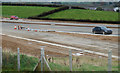 The new Newry bypass (88)