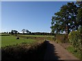 Lane near Hittisleigh