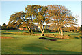 Looking southwest across the Tregenna Estate golf course