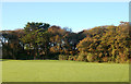 Looking south across the golfcourse on the Tregenna Estate