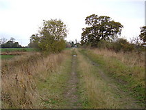 TA0838 : Drove Lane near Carr House Farm by JThomas