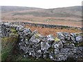 Sheepfold in the Scaur Water Glen