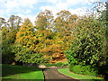 Beechwood Park in Autumn