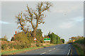 Morning light on the A423 at Shakers Lane crossroads