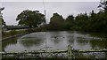 Duck pond at Flitchfold Farm near Loxwood