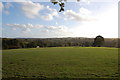 Field near Maddoms Wood