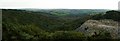 The Coombe ancient woodland and the De Lank quarry