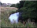 North Calder Water south of Plains