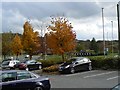 Autumn colours in the car park