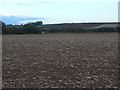 SK6641 : Farmland near Shelford by Alan Murray-Rust