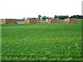 Straw stacks near New Alyth